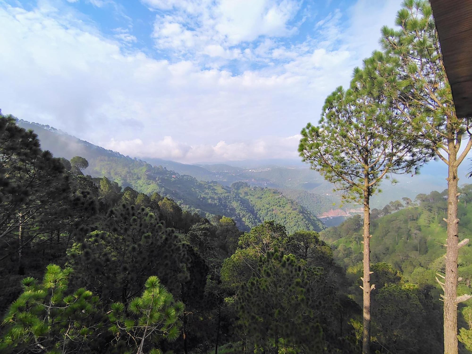 Pihu's Nest Homestay Kasauli